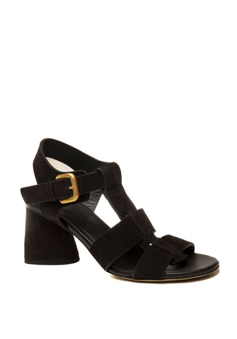  MARA BINI | 564CAM-T.MORO